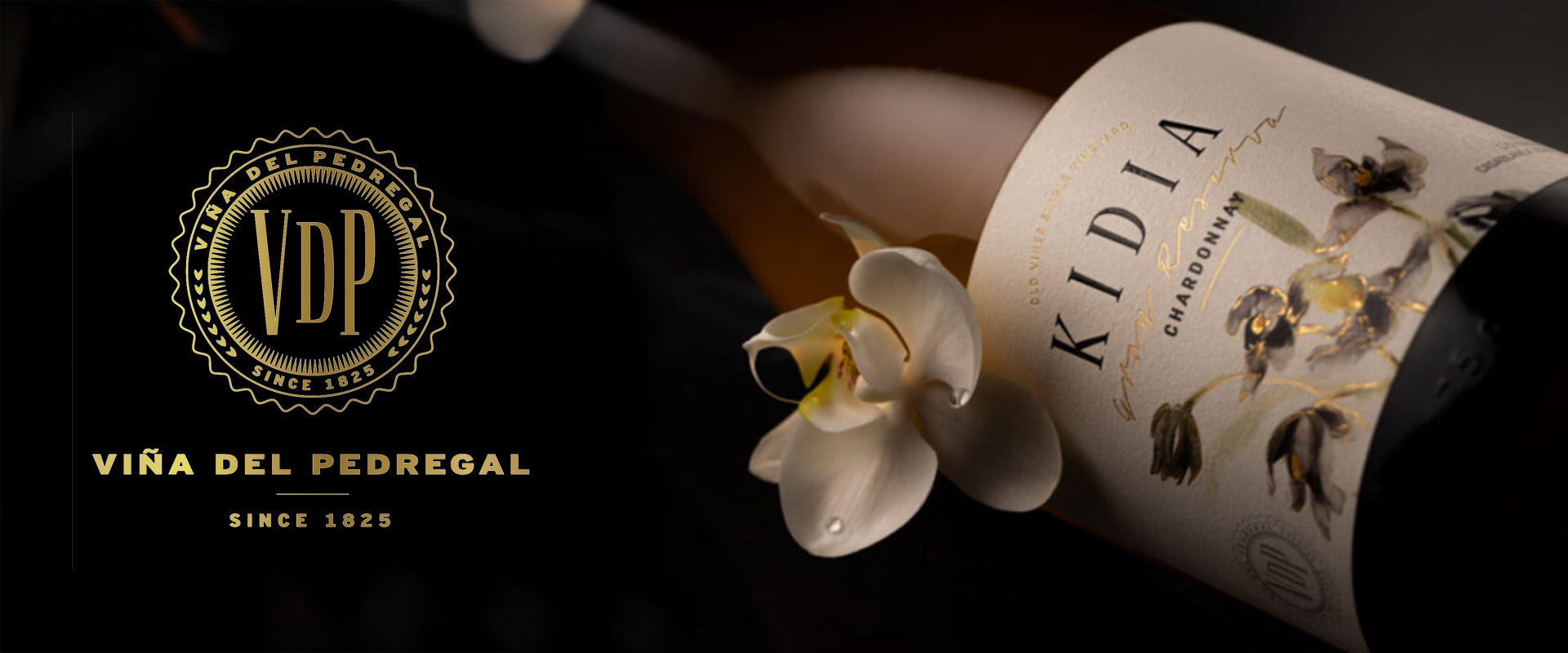 Vina del Pedregal wines
